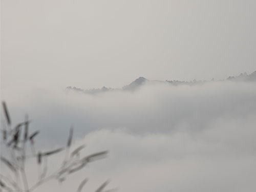 雪景彌漫