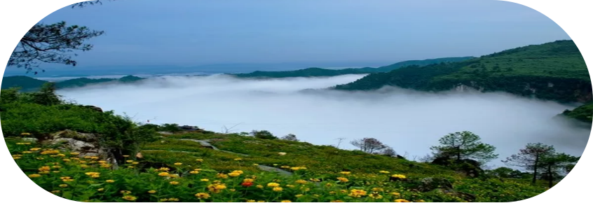 湖南旅游開發(fā)公司,懷化旅游開發(fā)公司,懷化峽谷探幽,懷化石林花山植物園